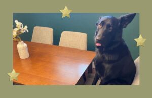 An Honest Review of Levity ‘Life-Proof’ Butterfly Leaf Dining Table