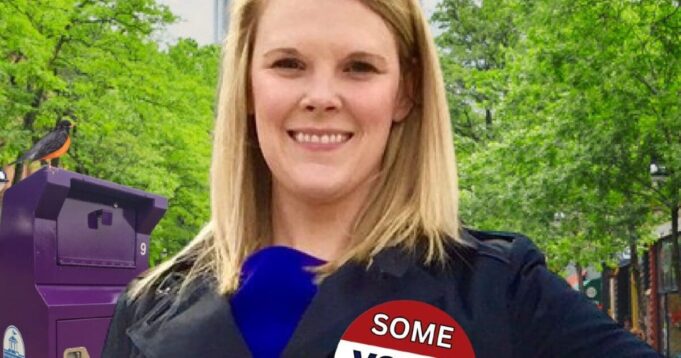 Wisconsin Senate Republicans Unanimously Vote to Finally End the Nightmare of How Elections Are Administered by Removing Administrator of Elections Meagan Wolfe | The Gateway Pundit