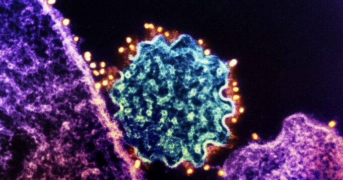Here We Go: Nipah Virus Outbreak Prompts Shutdowns and Containment Zones in Kerala, India | The Gateway Pundit