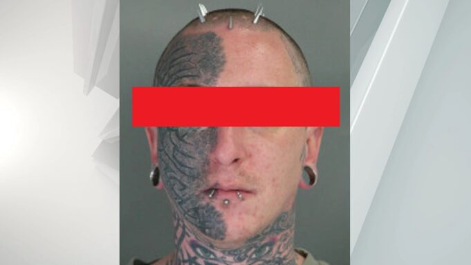Self-Described “Blood Artist” Jeremy Pauley Pleads Guilty to Trafficking Human Remains From Harvard Medical School | The Gateway Pundit