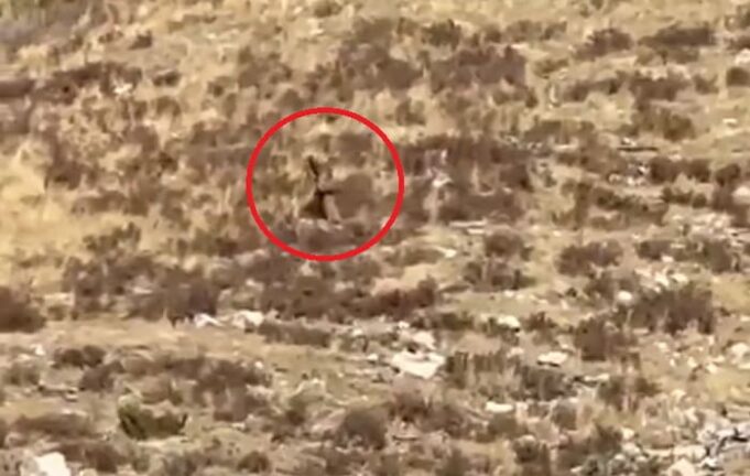 REAL OR HOAX? Couple Riding Train Through Colorado Mountains Claim They Captured Footage of a Bigfoot (VIDEO) | The Gateway Pundit