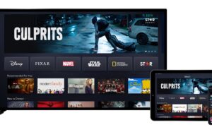 Last chance to get Disney Plus on the cheap