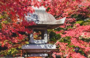 Foxconn gets probed by Chinese authorities