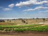 Down Under and Uncorked: Exploring Australia’s Wine and Travel Treasures