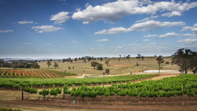 Down Under and Uncorked: Exploring Australia’s Wine and Travel Treasures