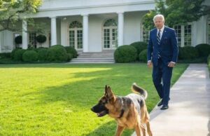 BREAKING: Biden’s Dog ‘Commander’ Removed From White House Following Multiple Biting Incidents | The Gateway Pundit