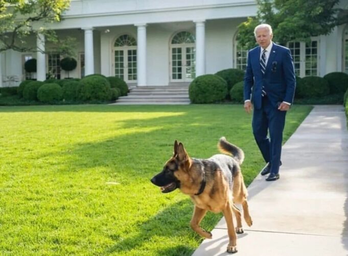 BREAKING: Biden’s Dog ‘Commander’ Removed From White House Following Multiple Biting Incidents | The Gateway Pundit
