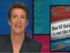 Rachel Maddow Slays Bothsidesism