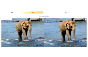 What is Adobe’s Project Res Up? The new video tool explained