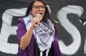 Poisonous Michigan Rep. Rashida Tlaib Faces Criticism From Both Parties – Have People Finally Had Enough of Her? | The Gateway Pundit