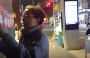 Woman in New York Is the latest Jew-Hater Caught On Camera Tearing Down Posters Of Innocent Israeli Hostages | The Gateway Pundit