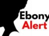 California Rolls Out New ‘Ebony Alert’ to Prioritize Search for Missing Black Children | The Gateway Pundit