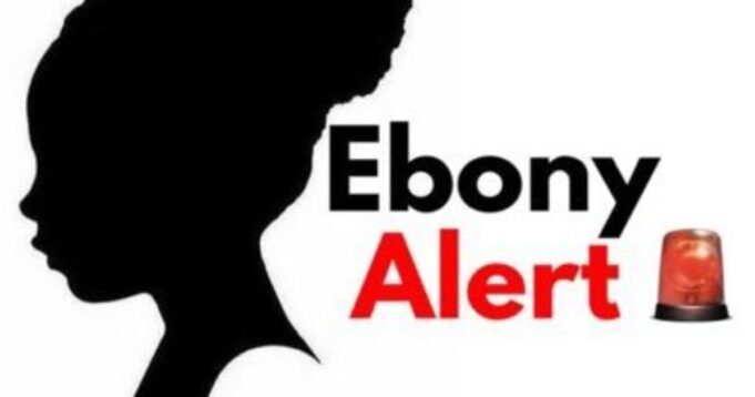 California Rolls Out New ‘Ebony Alert’ to Prioritize Search for Missing Black Children | The Gateway Pundit