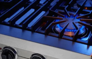 Federal Lawsuit Filed Over New York State Ban on Gas Stoves That Democrats Said Wasn’t Happening | The Gateway Pundit