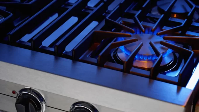 Federal Lawsuit Filed Over New York State Ban on Gas Stoves That Democrats Said Wasn’t Happening | The Gateway Pundit