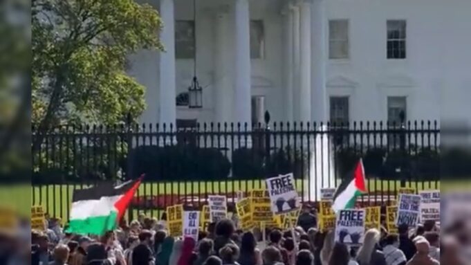 Pro-Palestinian Protesters Demonstrate Outside White House (VIDEO) | The Gateway Pundit