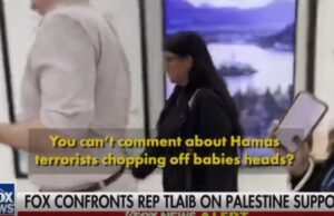 Israel-Hating Democrat Rashida Tlaib Confronted about Hamas Chopping Off Babies’ Heads – Refuses to Answer (VIDEO) | The Gateway Pundit