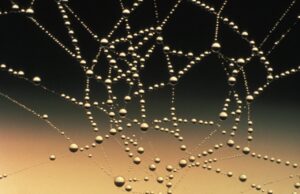 Optus software upgrade error leads to major network outage