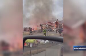 Suspect in Custody After 30 Horses Are Killed at Racetrack in New York | The Gateway Pundit