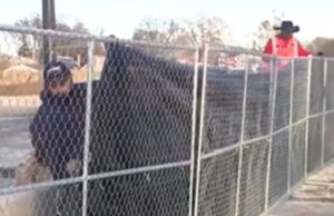 Workers Block News Channel From Filming Construction of Massive ‘Migrant Camp’ Site in Chicago (VIDEO) | The Gateway Pundit