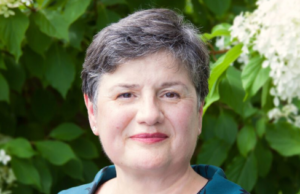 Ranka Vucetic on 3 Common Real Estate Problems Solved by Bespoke Service