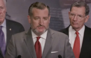 Senator Ted Cruz Blasts Biden’s Broken Immigration Policy: “The Border Agents Laughed-Democrats Don’t Visit Here” (Video) | The Gateway Pundit