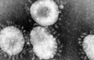 Robert F. Kennedy Jr. Vindicated – China’s Top Spy Agency Warns of “Gene Weapons’ Able to Target Specific Ethnicity or Race | The Gateway Pundit