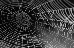 FBI exposes Scattered Spider’s alliance with notorious ransomware gang