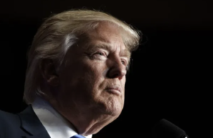 Republican Senators Introducing Legislation That Would Punish States for Taking Trump Off the Ballot | The Gateway Pundit