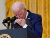Biden Regime Fast-Tracks Ammunition Sale to Israel, Skips Congressional Approval | The Gateway Pundit