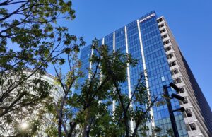 Mini-LED TVs, WH-1000XM6 and more