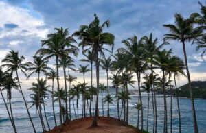 Tips for Solo Female Travel in Sri Lanka