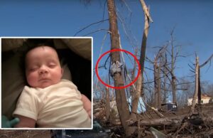 Miracle in Tennessee: Four-Month-Old Baby Found Alive in Tree After Being Swept Up by Tornado (VIDEO) | The Gateway Pundit