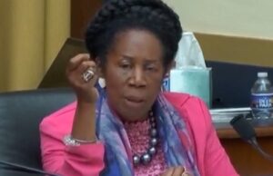 JUST IN: Democrat Sheila Jackson Lee – Endorsed By Hillary Clinton – Loses Houston Mayoral Race in Landslide | The Gateway Pundit