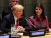 Trump Is Getting Hysterical As He Calls Nikki Haley A Birdbrain And Threatens Her Donors