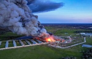 Massive Fire Engulfs Feather Crest Farm Chicken Plant in Texas, Reportedly Following Large Explosion (VIDEO) | The Gateway Pundit