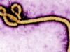 ICYMI: Denver Health Medical Staff Receives First Live Ebola Vaccine that “Sheds” for the First Time in History (VIDEO) | The Gateway Pundit