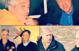 REVEALED: Epstein Documents CONFIRM Donald Trump NEVER Went to Epstein Homes or Pedo Island – Never Had Contact with Witness | The Gateway Pundit