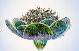 Luma raises $43M to craft 3D models with AI