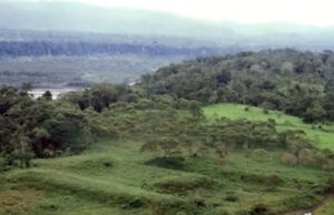 Massive Lost City Found Covered in Vegetation, Site Is ‘Older Than Any Other’ and Could Rewrite American History | The Gateway Pundit