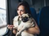 Travel Benefits of Having a Psychiatric Service Dog