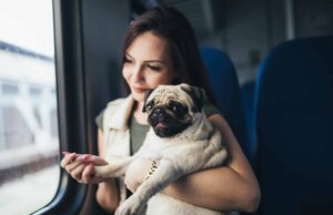 Travel Benefits of Having a Psychiatric Service Dog