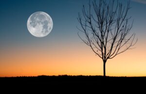 UK made “£14 million” device set to search for water on the moon