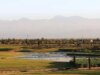 Where to Experience the Best Golfing in Marrakech