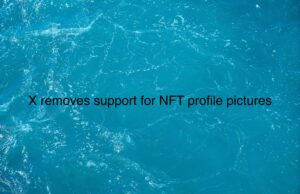 X removes support for NFT profile pictures