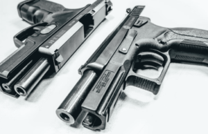 Alaska Borough Urges Residents to Get Ammo and Arm Themselves | The Gateway Pundit