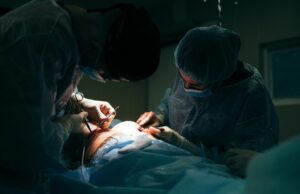 Donated bodies are powering gene-edited organ research