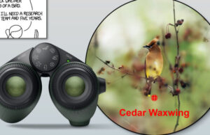 Famous xkcd comic comes full circle with AI bird-identifying binoculars