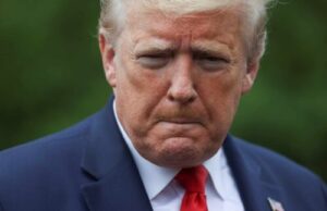 Michigan Fake Elector Throws Trump Under The Bus