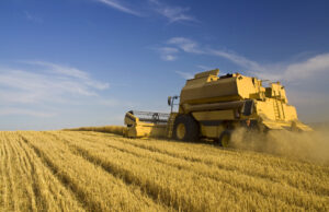 Real Estate Investing Goes Green With Source Agriculture’s Farmland Investment